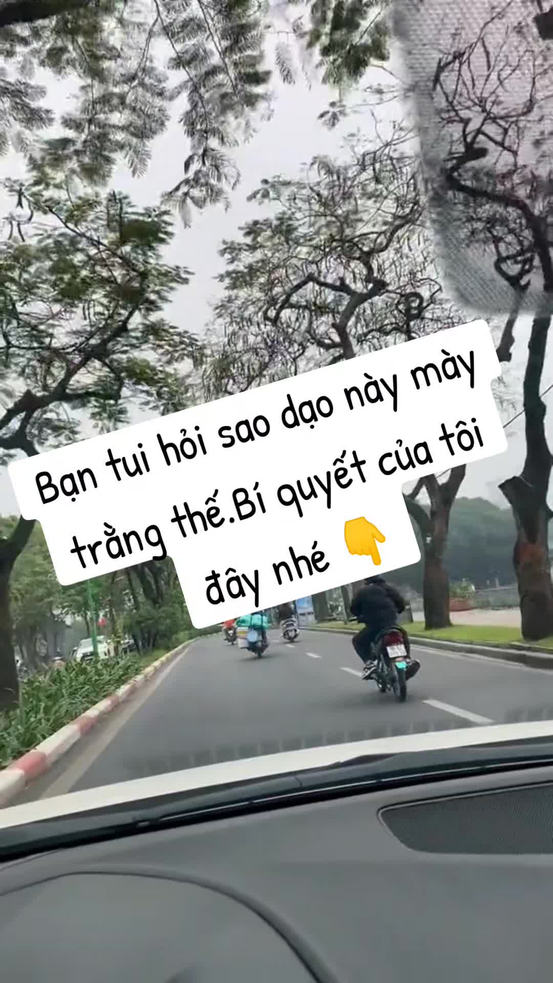 @Hoa giấy
