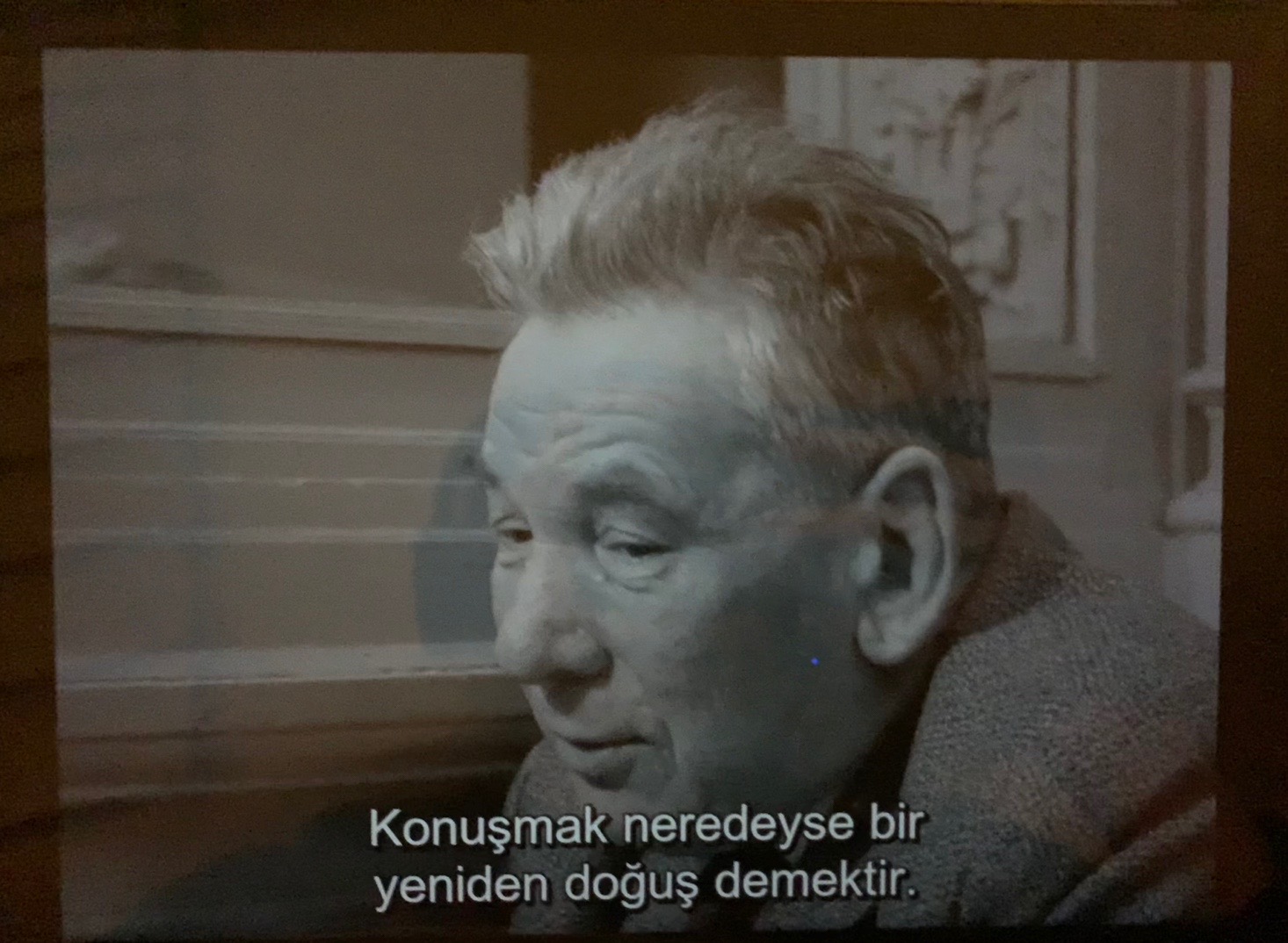 @hazaly