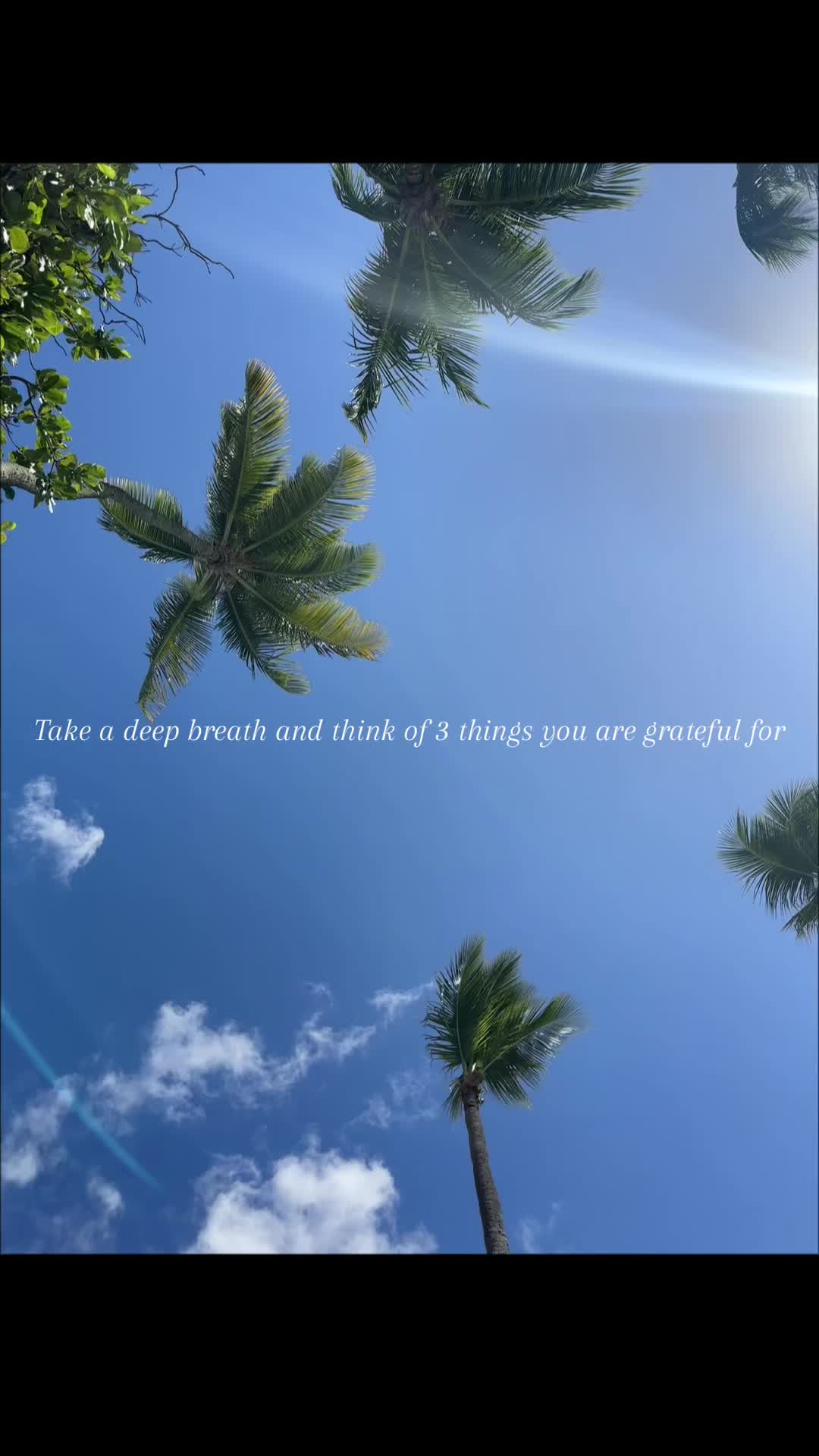 @Mufasah