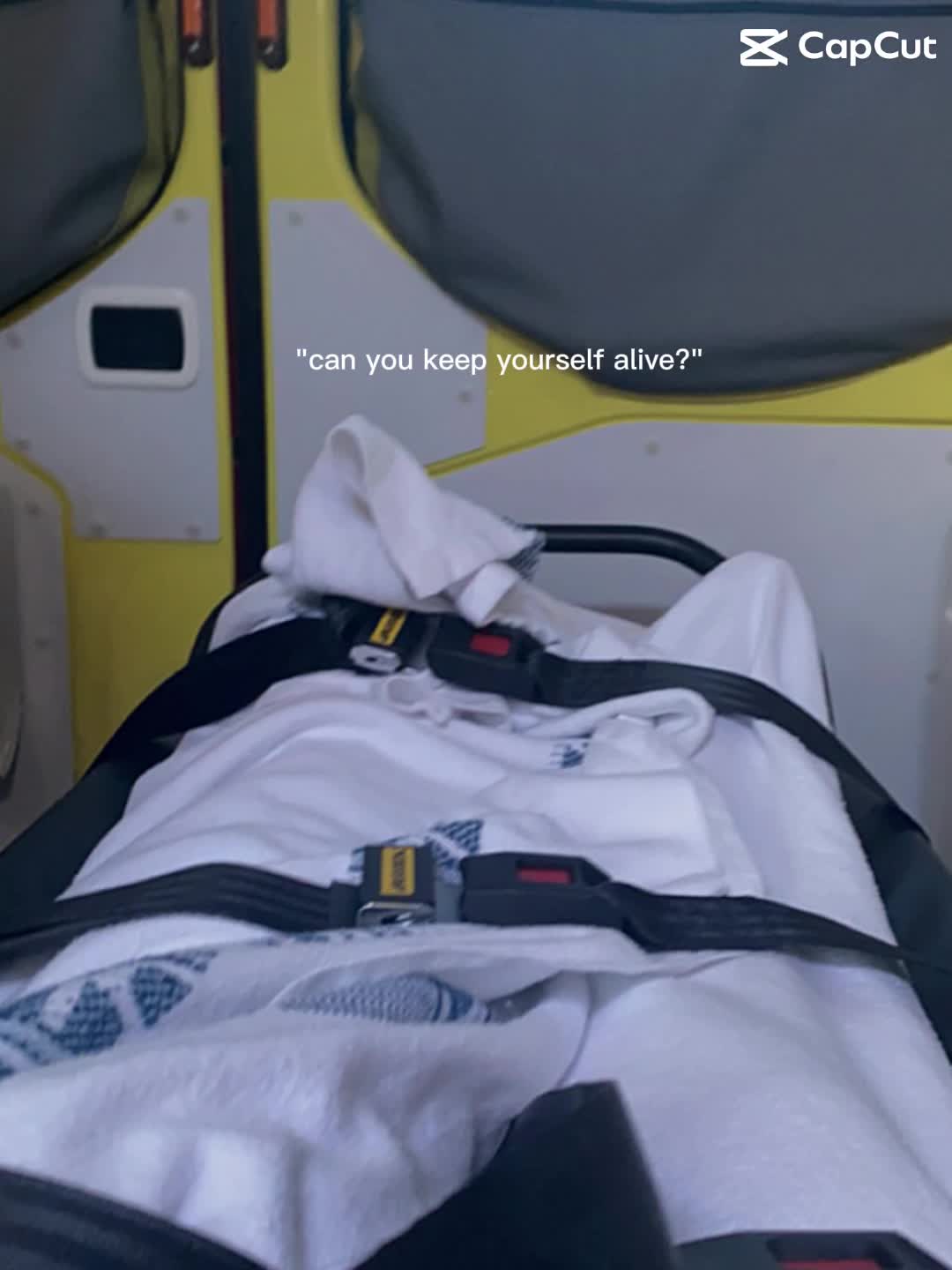 @🕊️