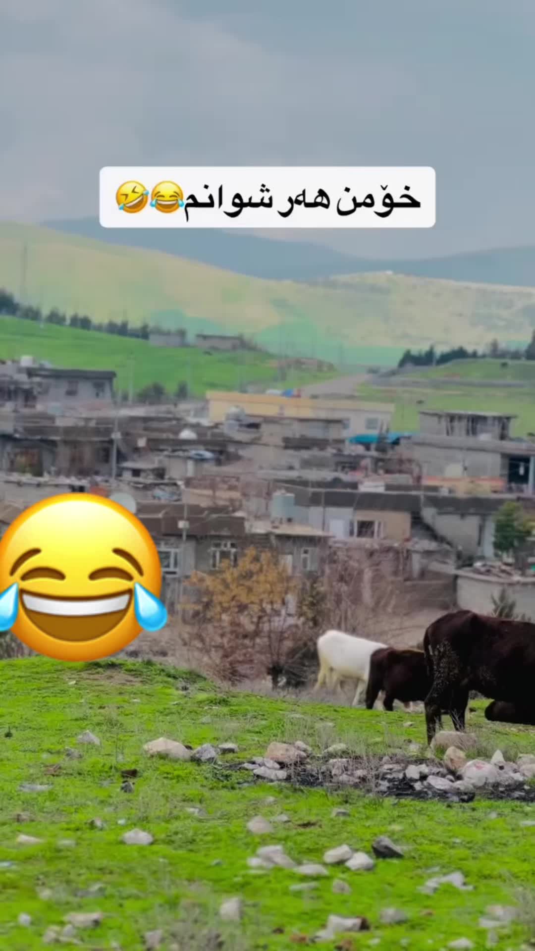 @ssm.kurdish