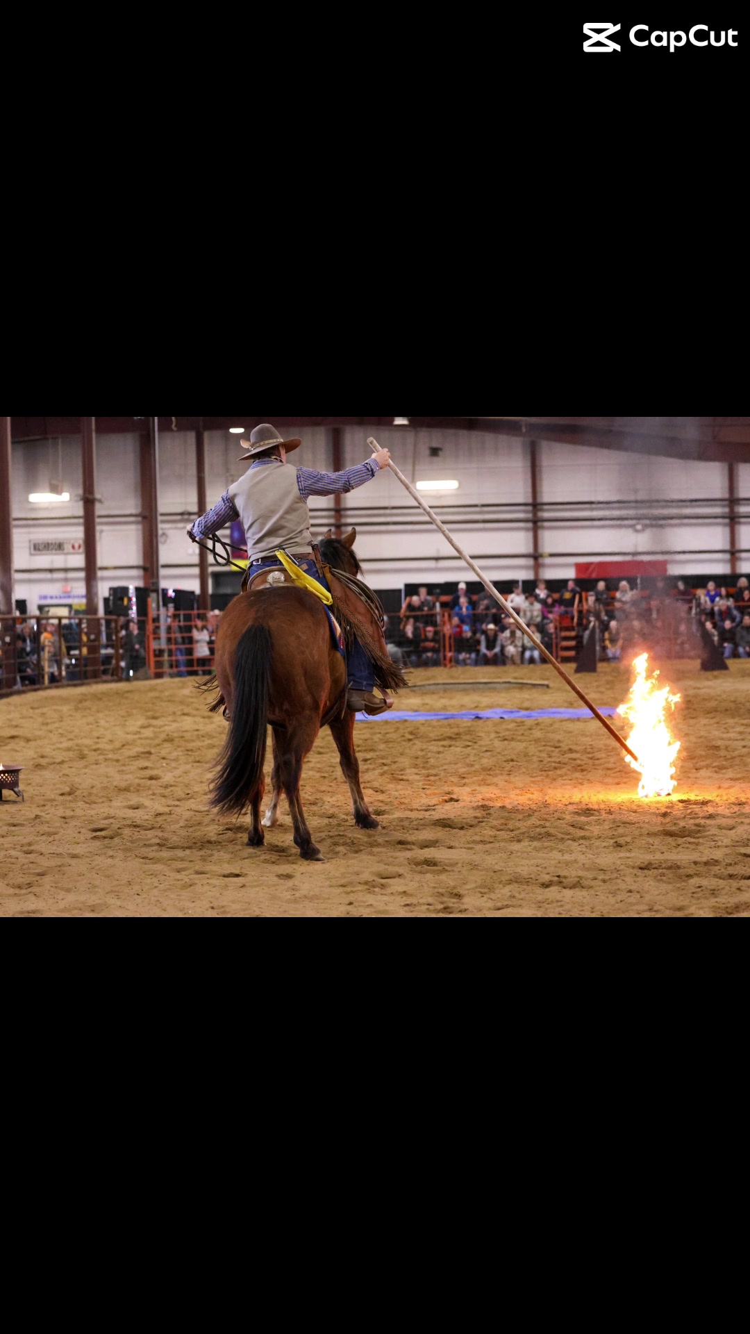 @lloydex