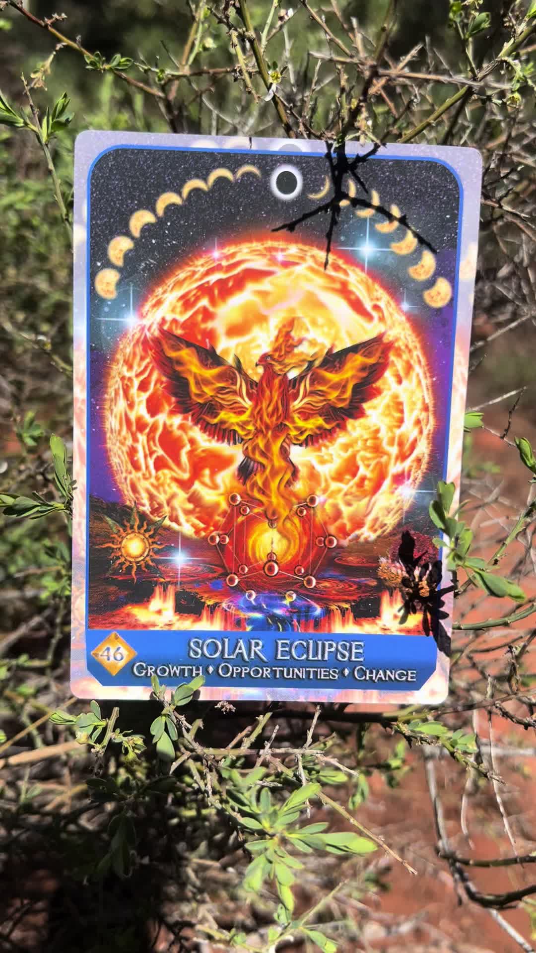 @💫 Star Keeper Oracle 🔮