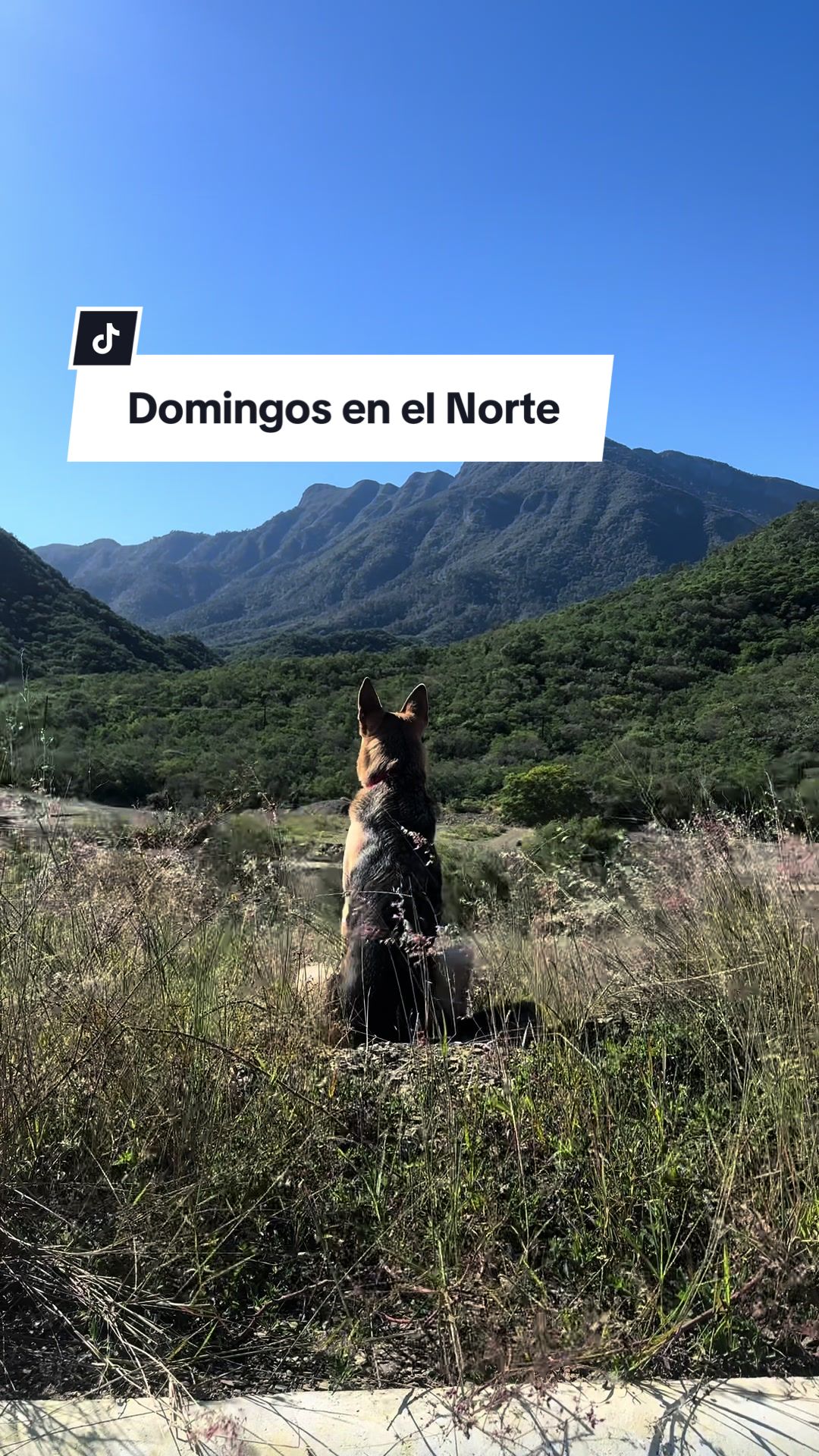 @Natural Arquitectura