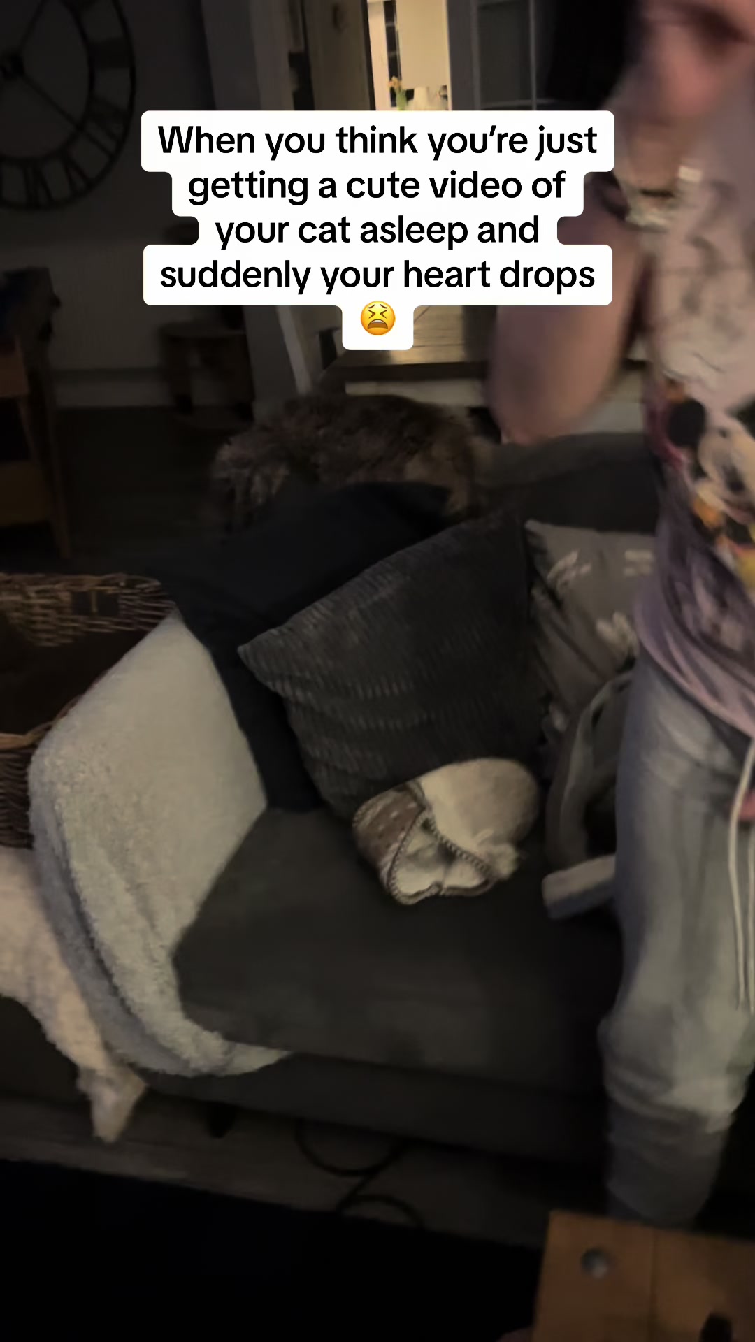 @HollyEliza86