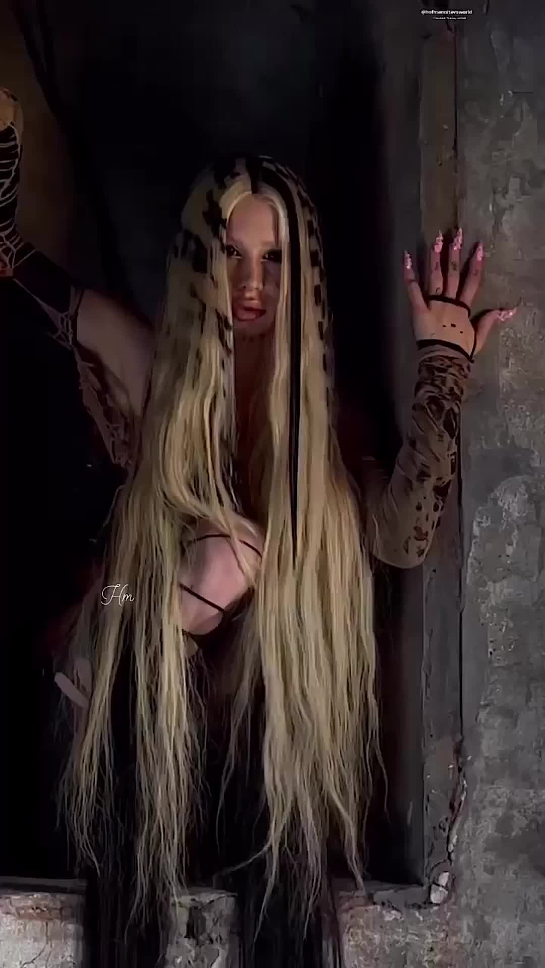 @user86753176288