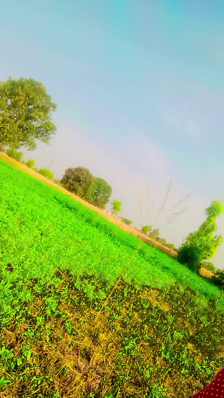 @M.R JOKAR