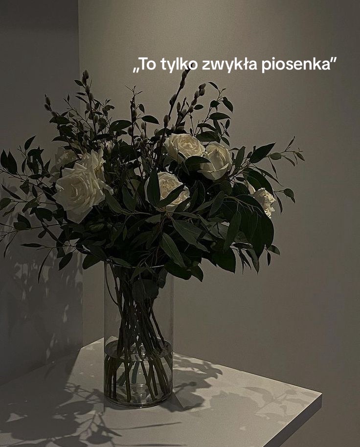 @julka/booktok❤️