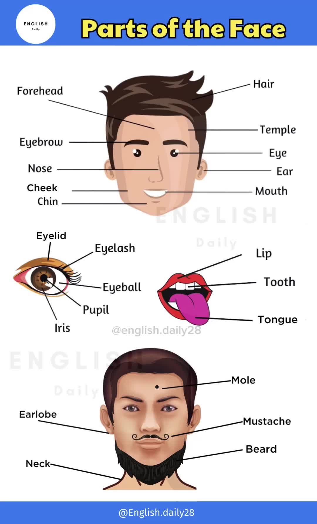 @Daily english learning