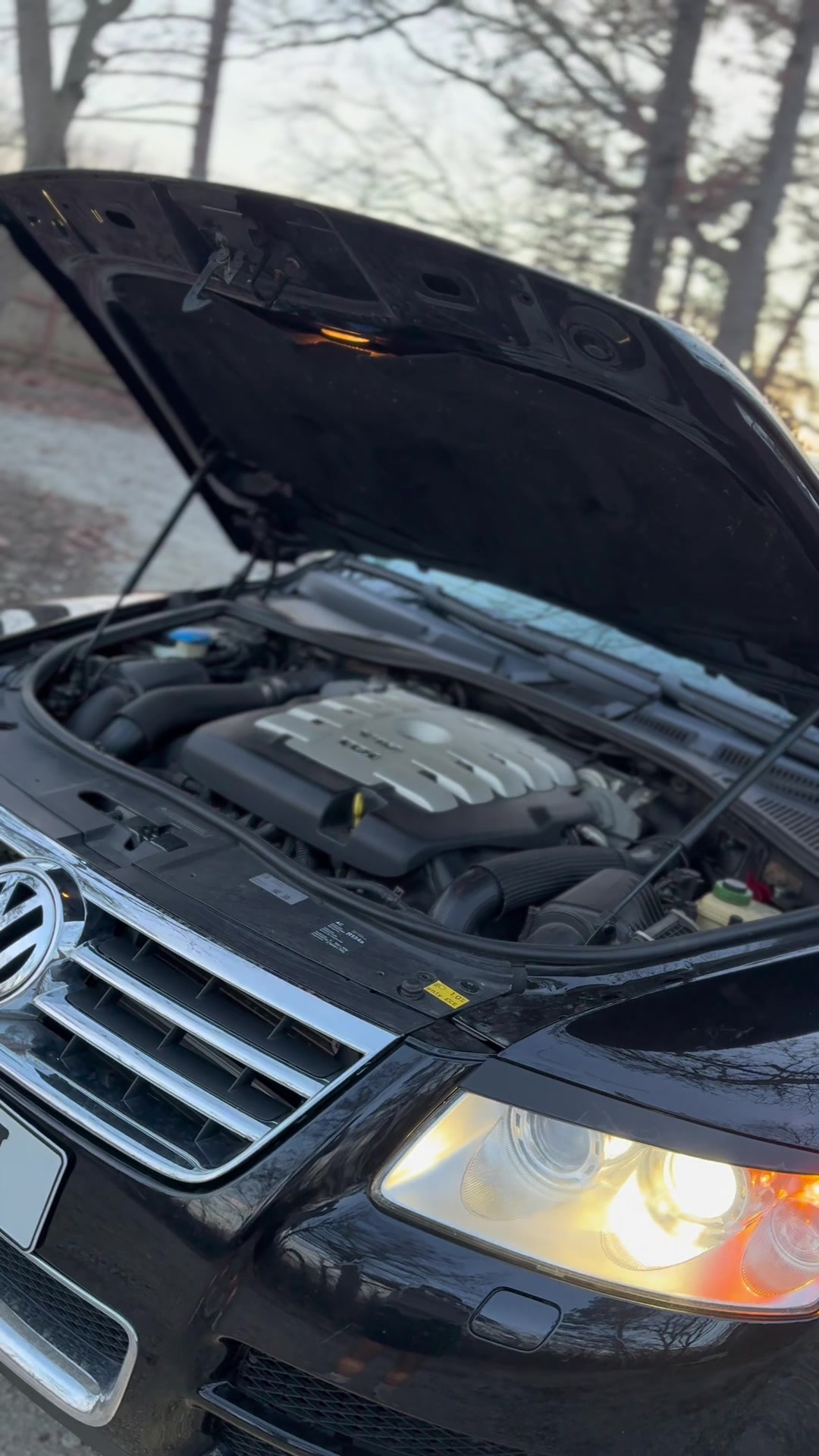 @Touareg V10
