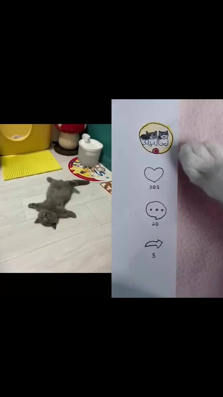 @max535r