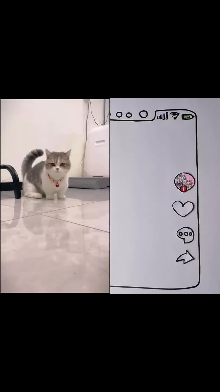 @MAX64WEYH