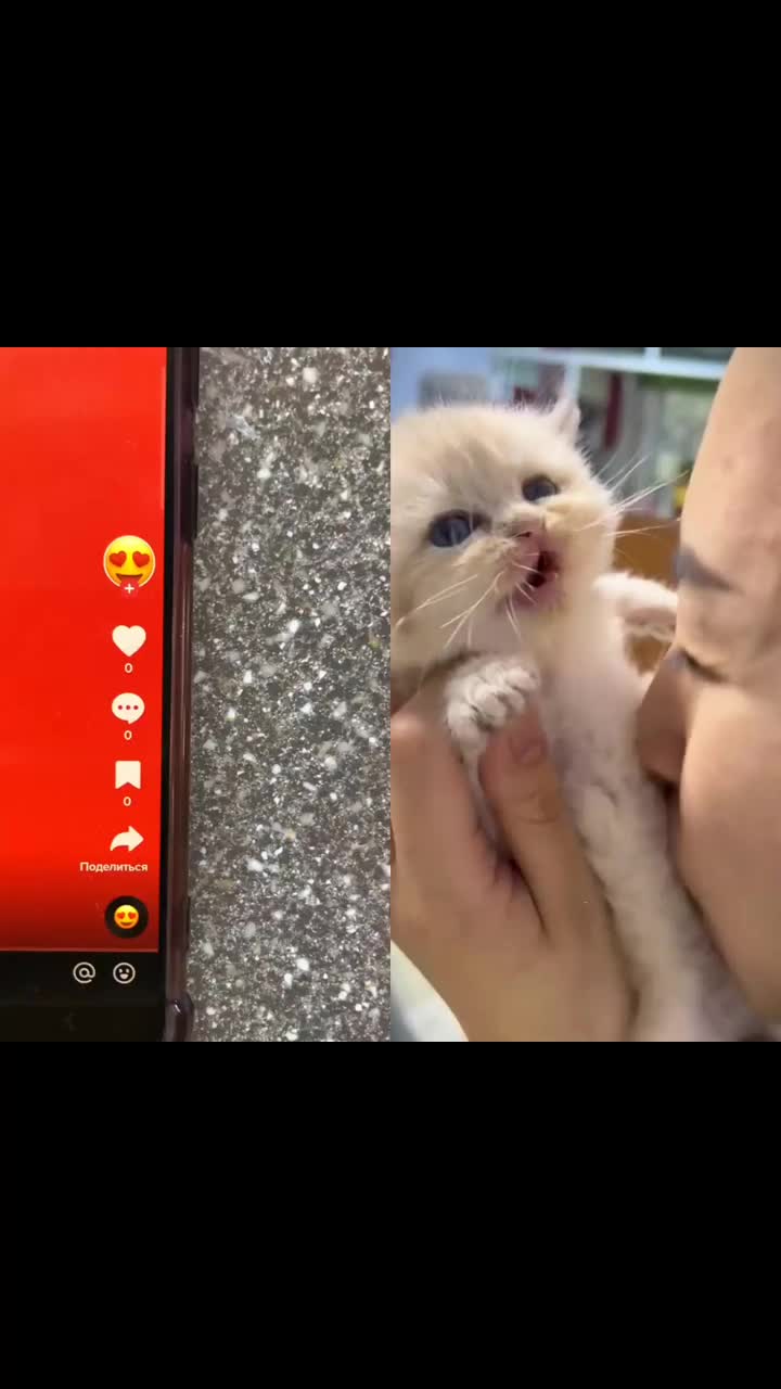@MAX64WEYH