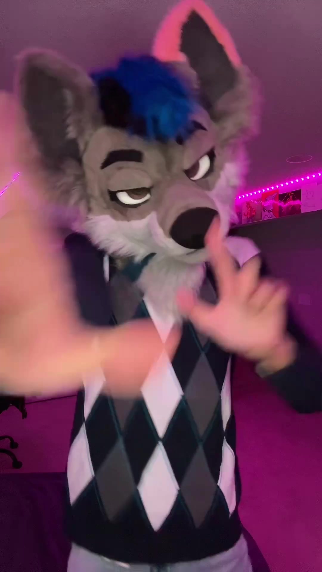 @DisjointWolfy