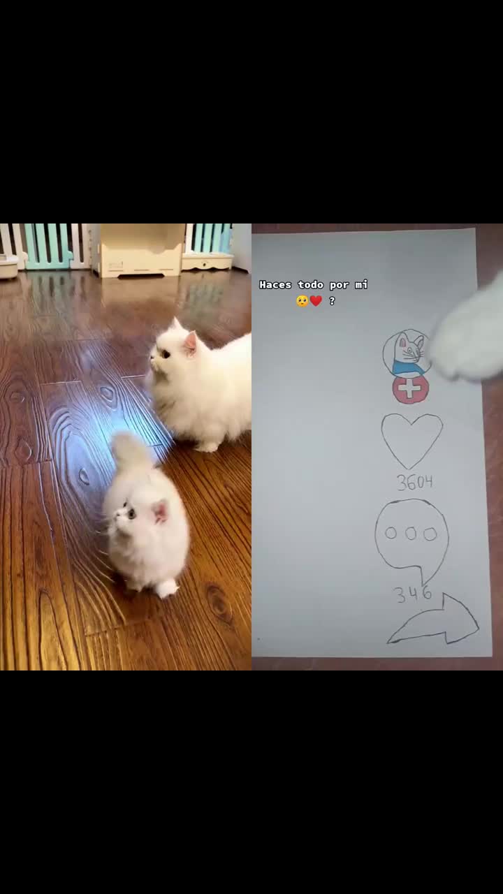 @MAX64WEYH