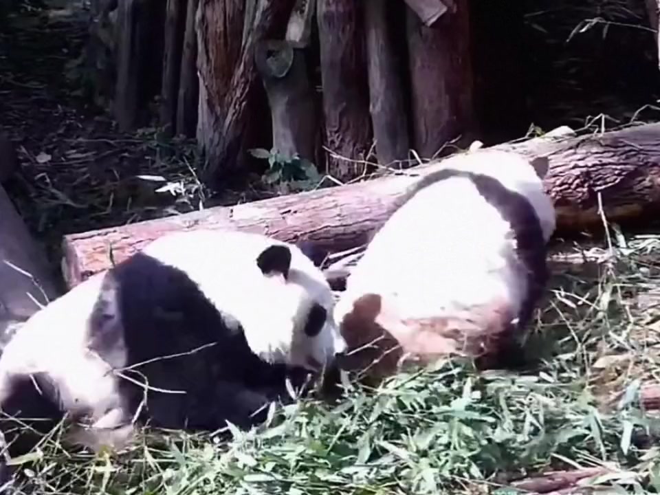 @Ởđ&acirc;yc&oacute;sựđ&aacute;ngiucủa HoaHoa 🌸