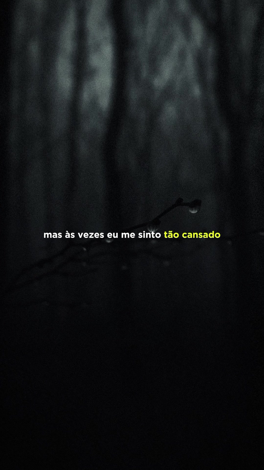 @K&iacute;ɳ&iota;ƚɾ&sigma;