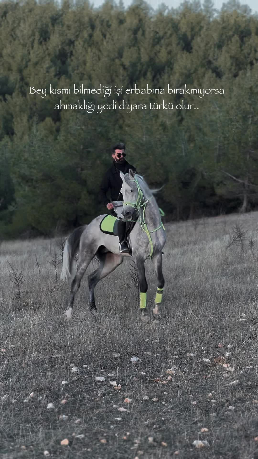 @𝐵𝐴𝑅𝑈𝑇𝐷𝑂𝑅𝑈