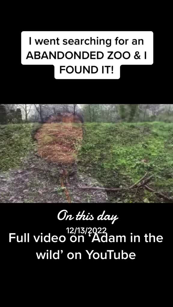 @Adam in the wild