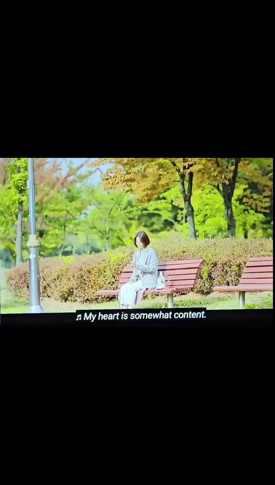 @Drama Lover