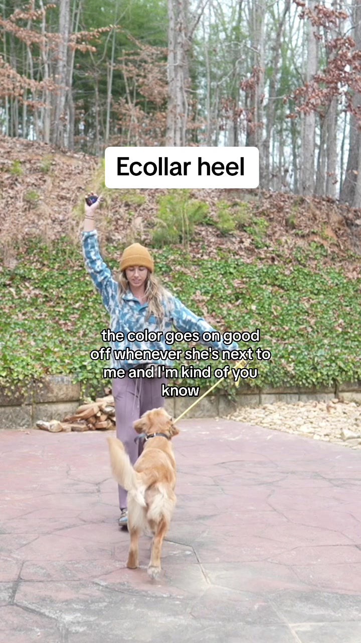 @The Everyday Trainer