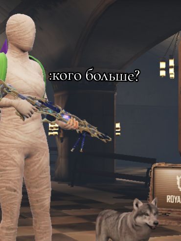 @ukrop panda pubg