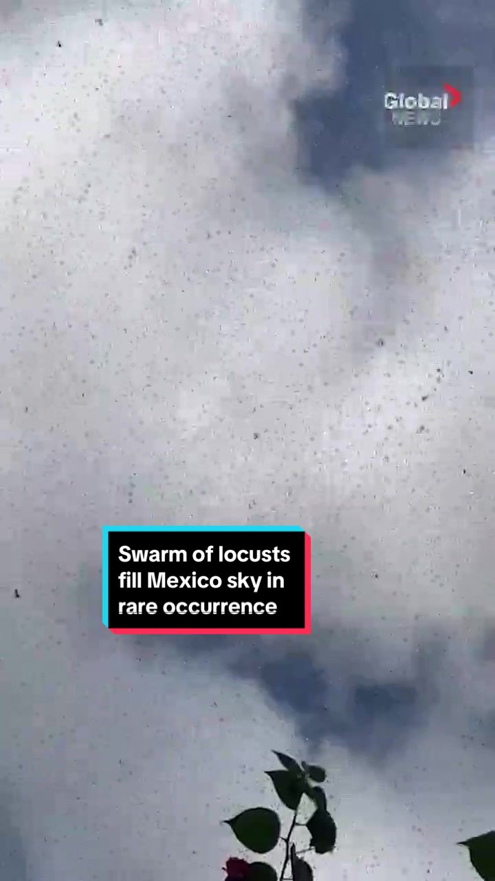 @Globalnews.ca