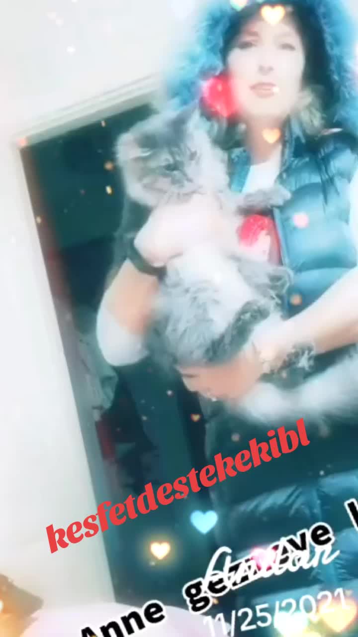 @dumanbey🐈⬛pamukhanım🐈