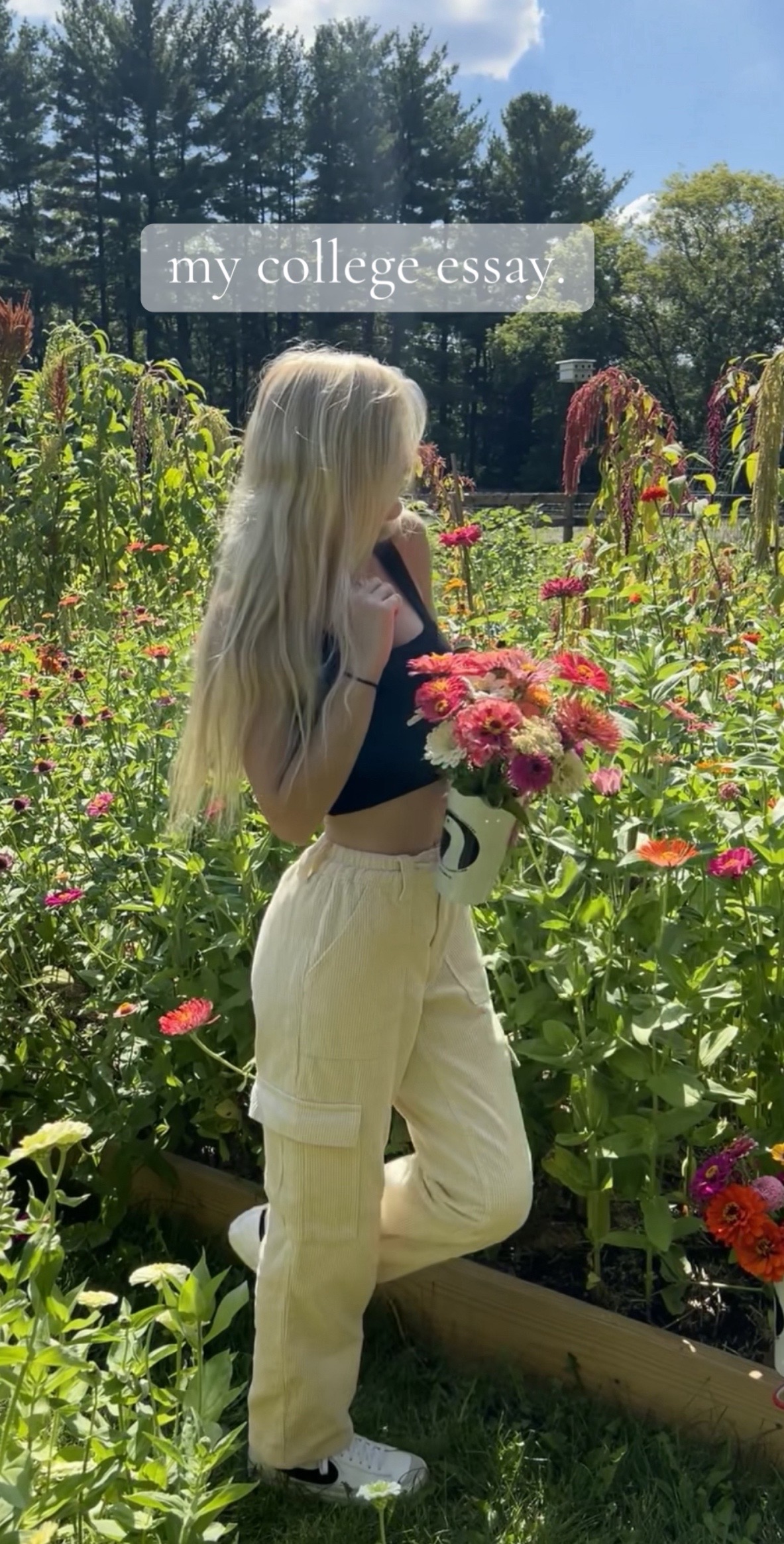 @SOPHIA