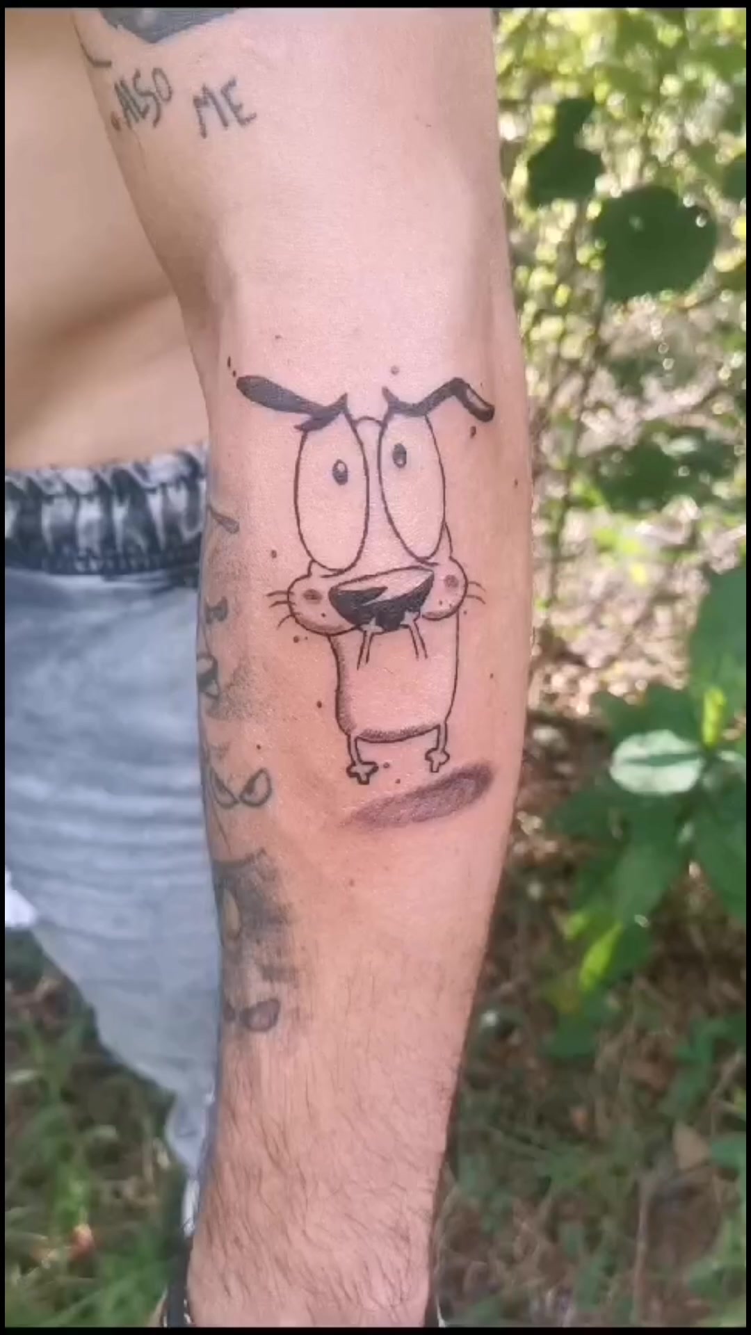 @LibrePecado