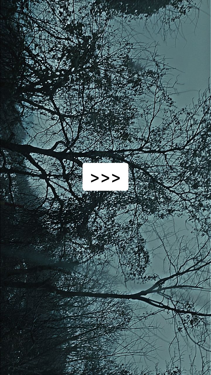 @balkanmusic<3