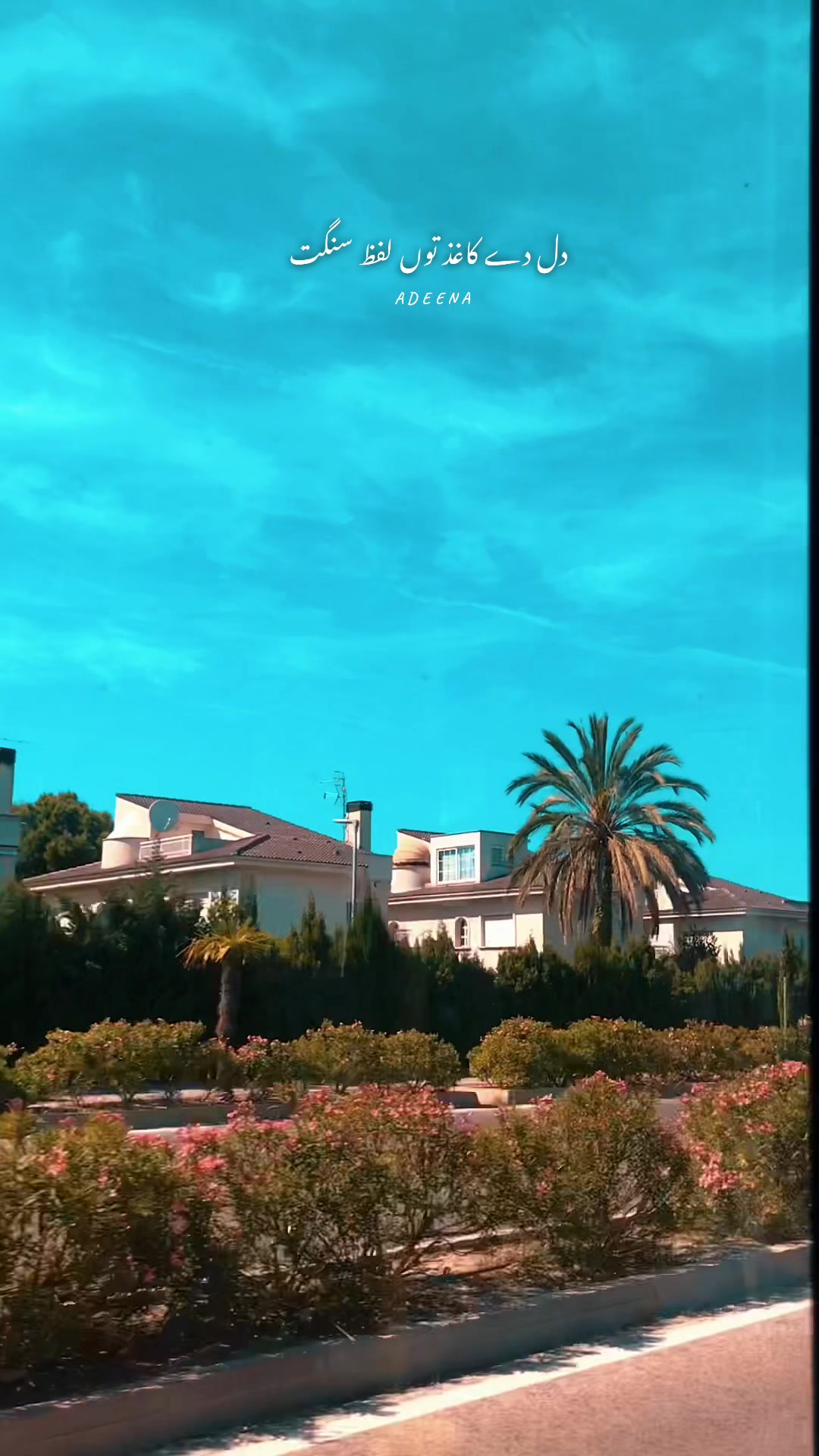@Ꭺᴅɴ 🇵🇰🇪🇸ㅤㅤ