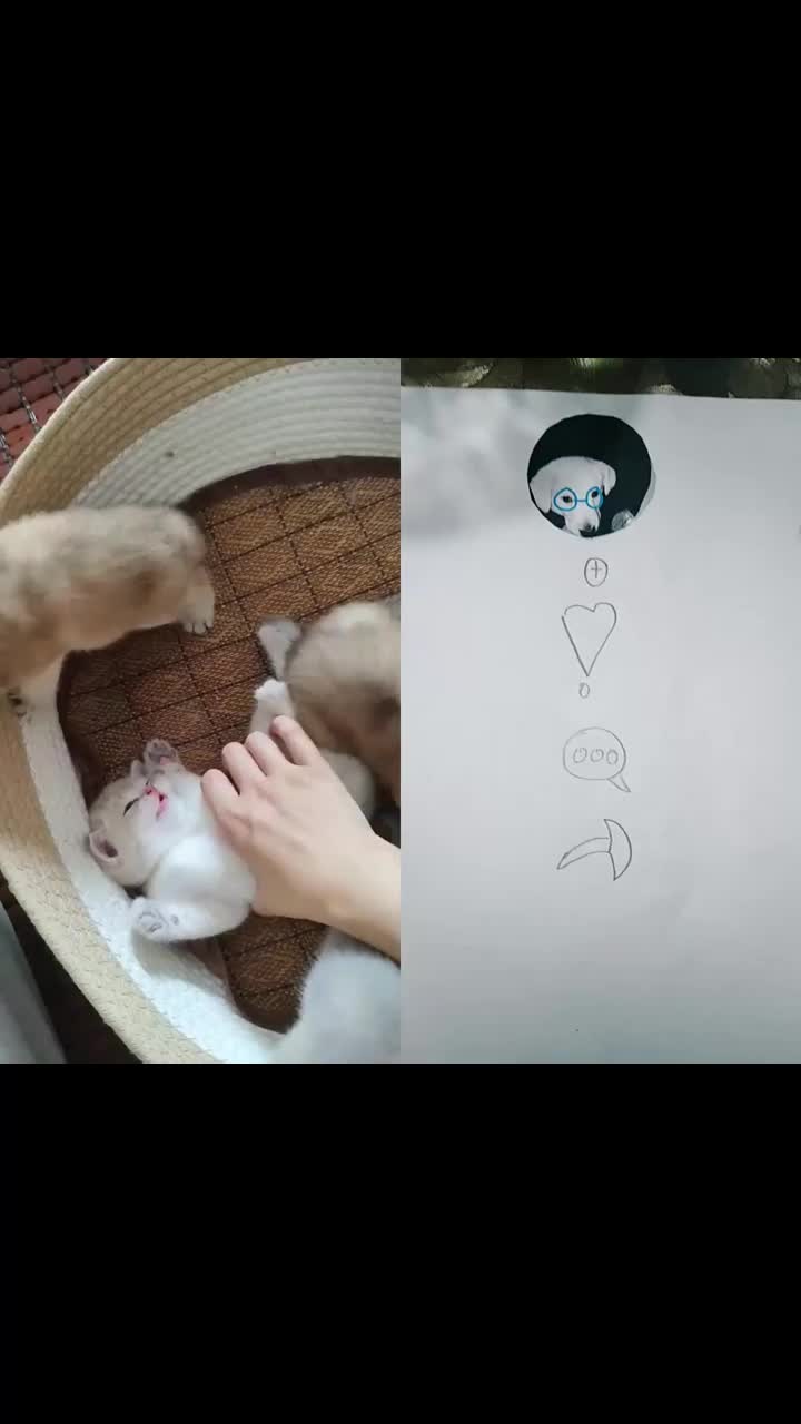 @MAX64WEYH