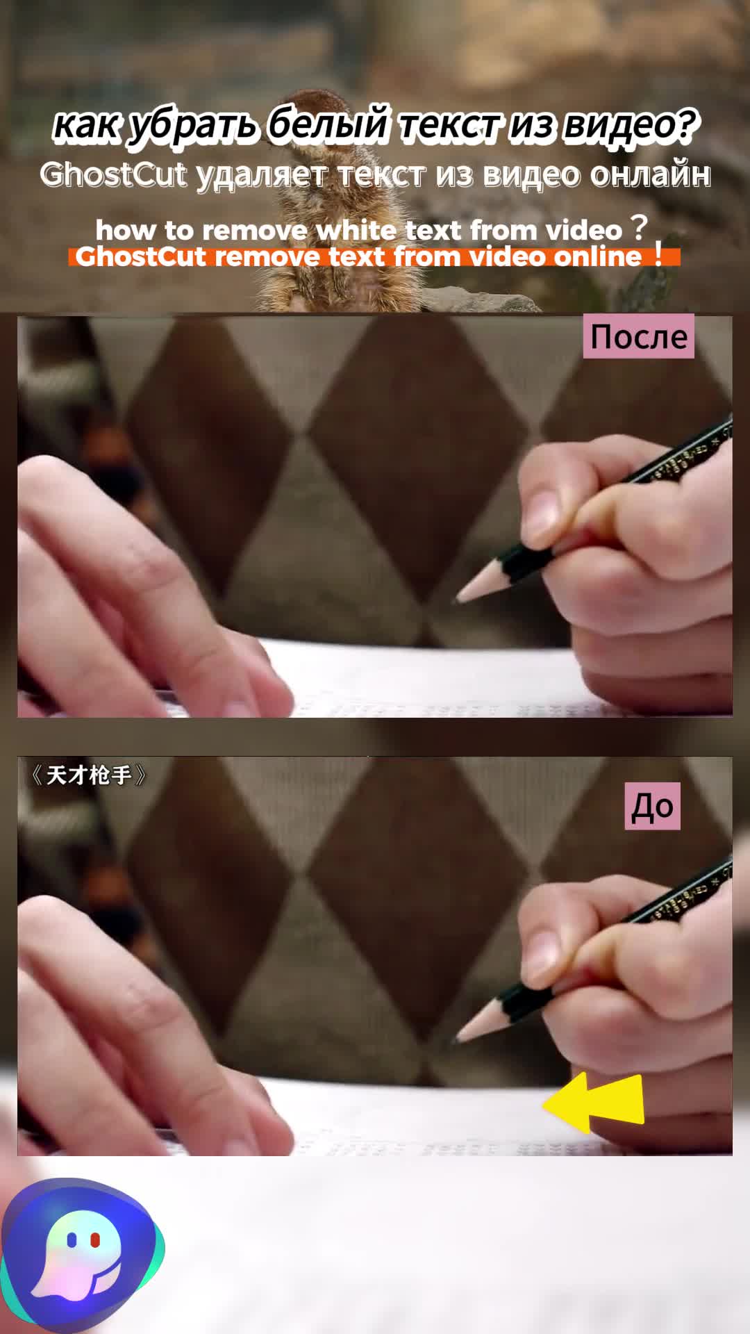 @videotranslation