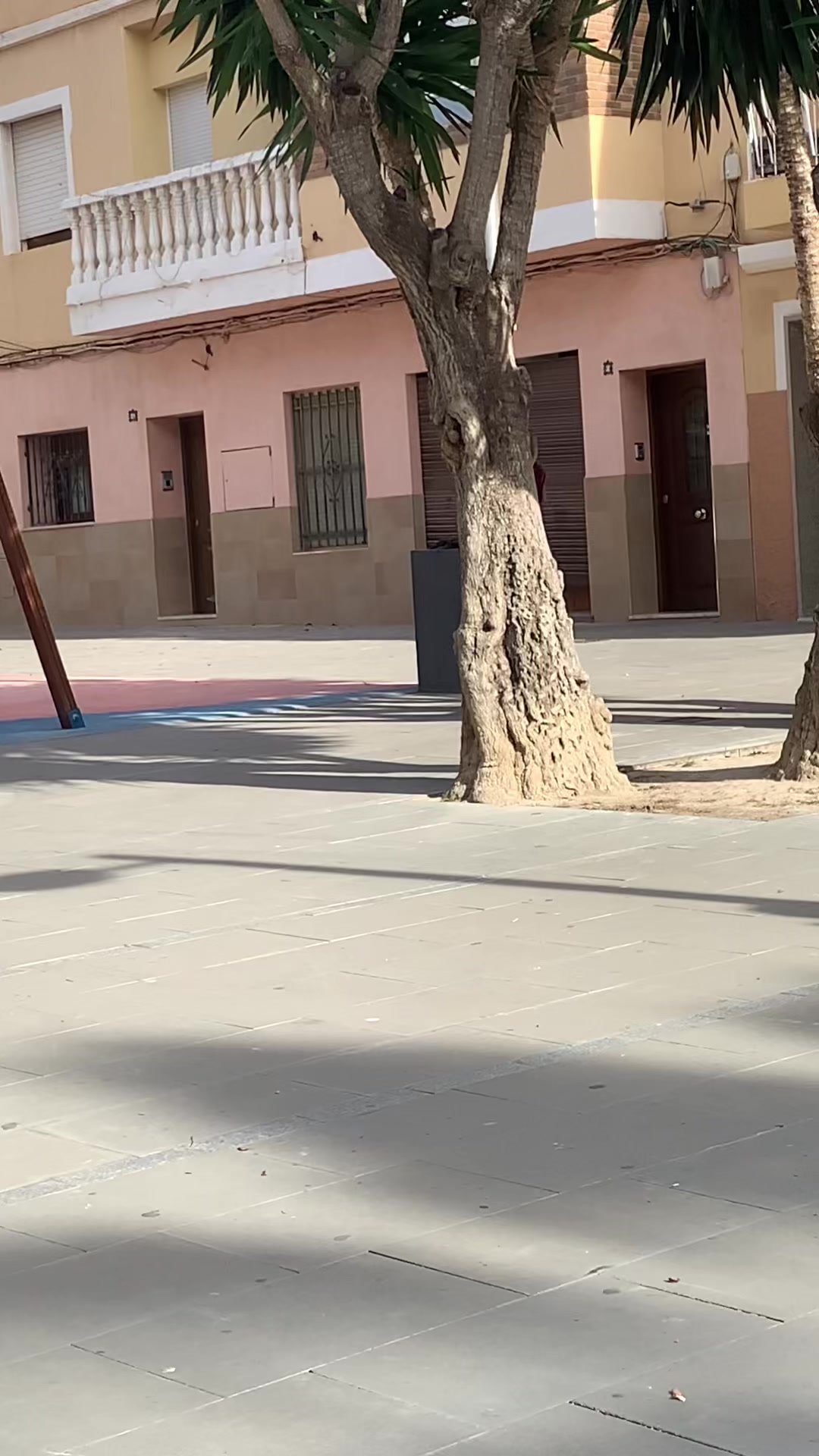 @amorzzzeta