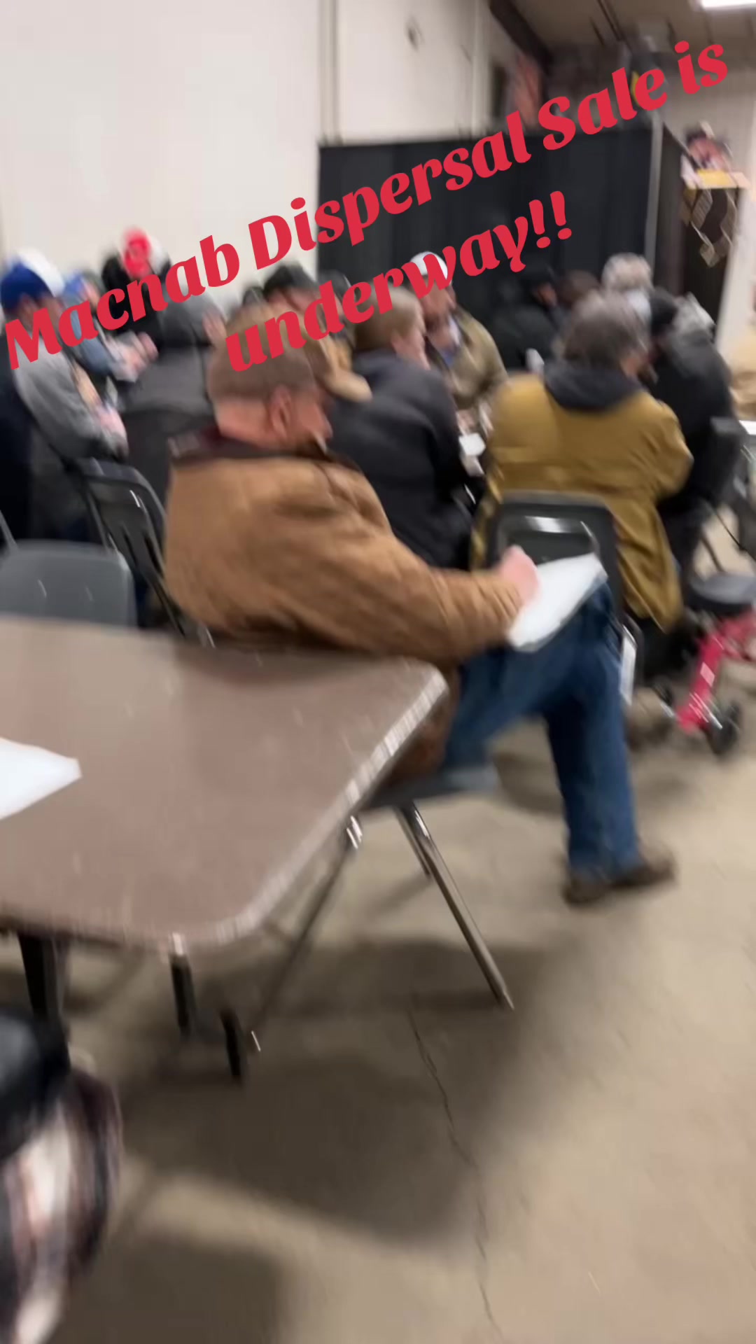 @lloydex