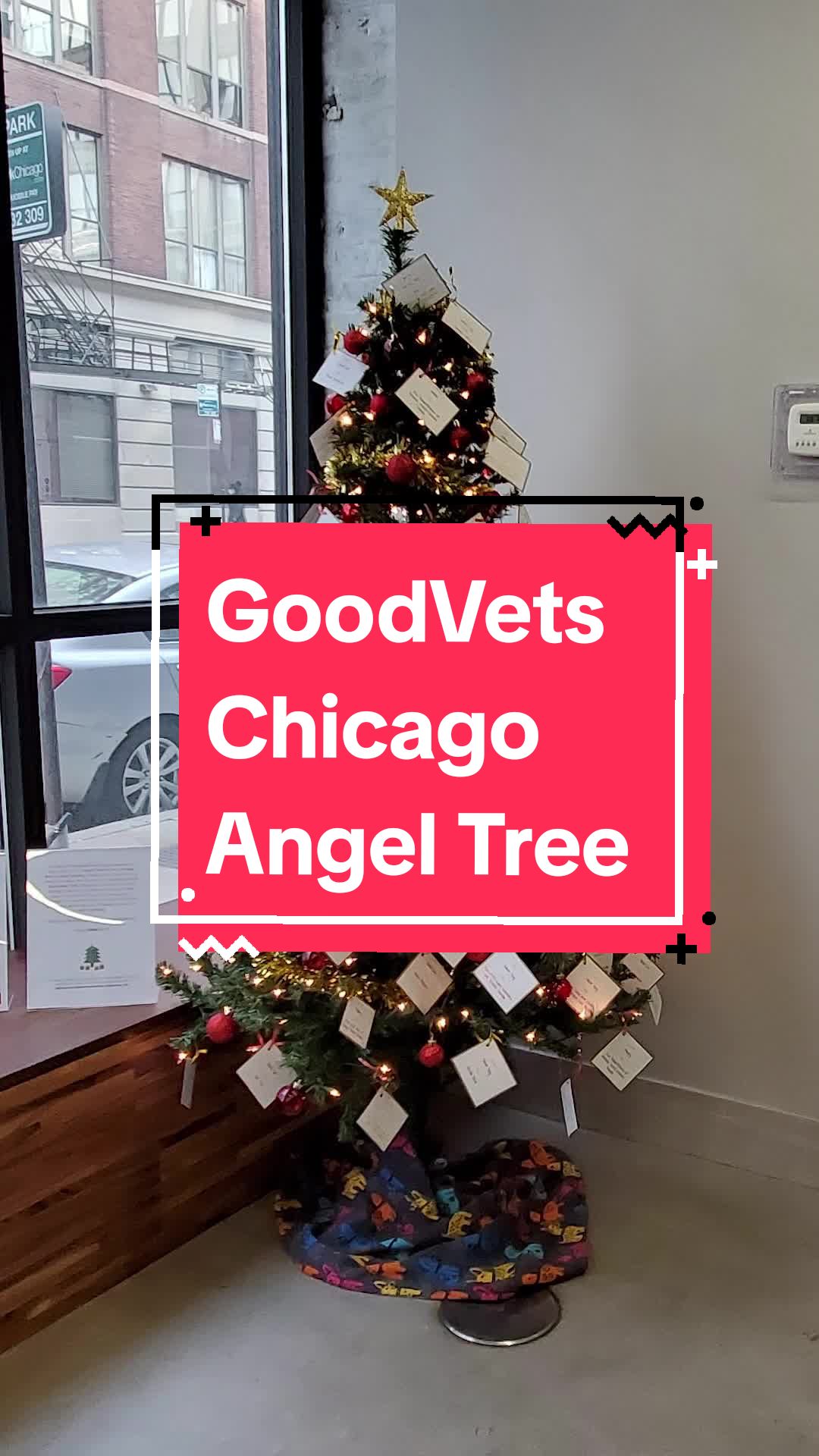 @GoodVets Chicago VA 😉🩺🐾