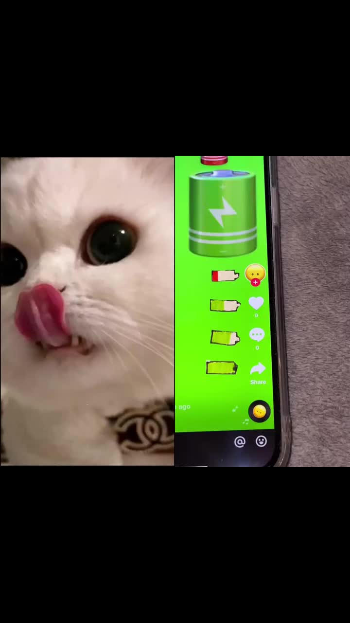 @MAX64WEYH