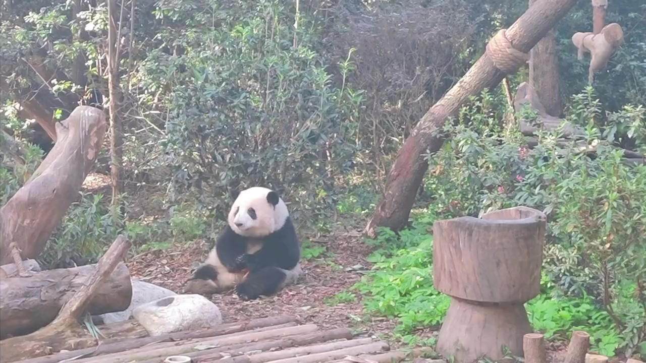 @Ởđ&acirc;yc&oacute;sựđ&aacute;ngiucủa HoaHoa 🌸