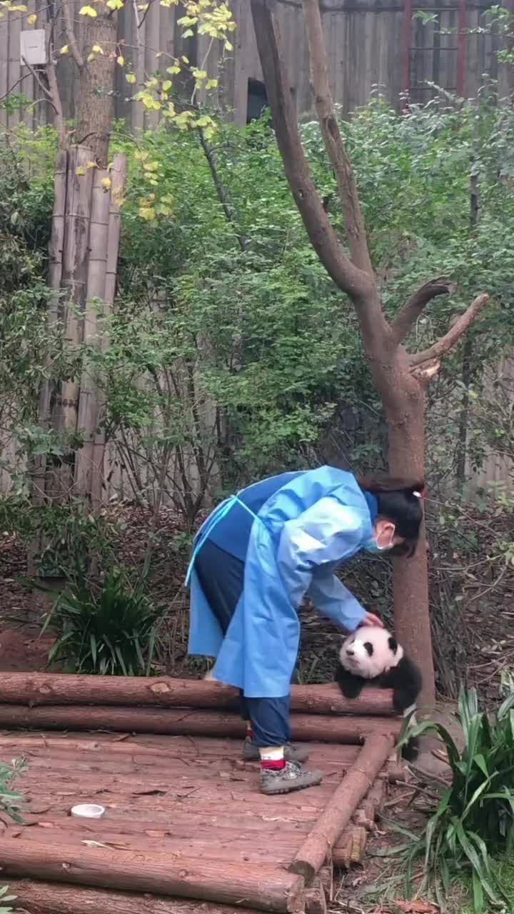 @Ởđ&acirc;yc&oacute;sựđ&aacute;ngiucủa HoaHoa 🌸