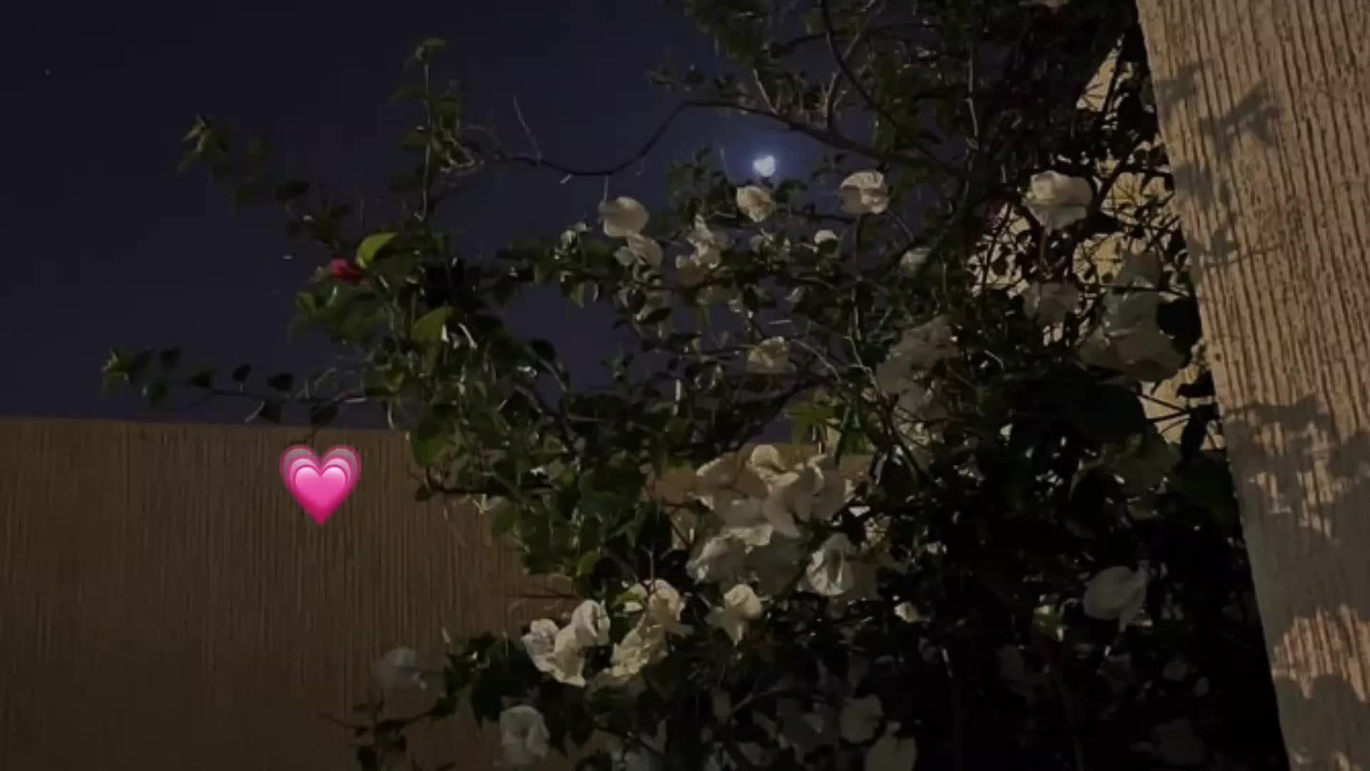 @💗