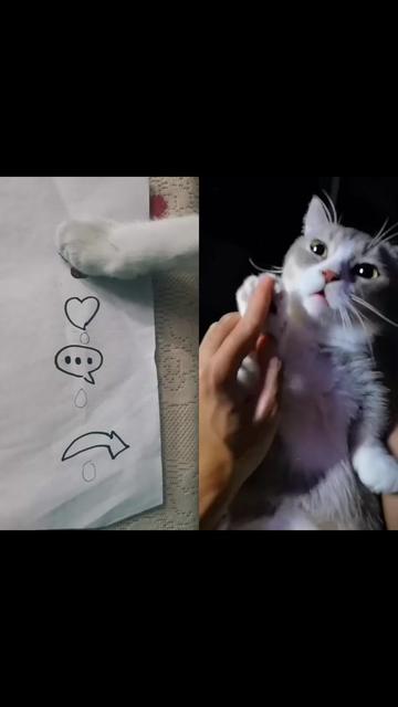 @MAX64WEYH