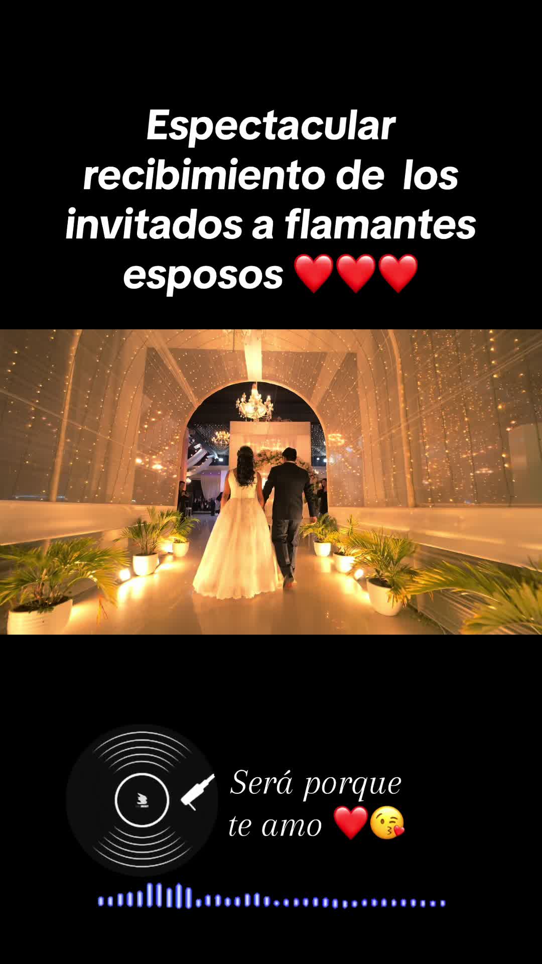 @Paqari