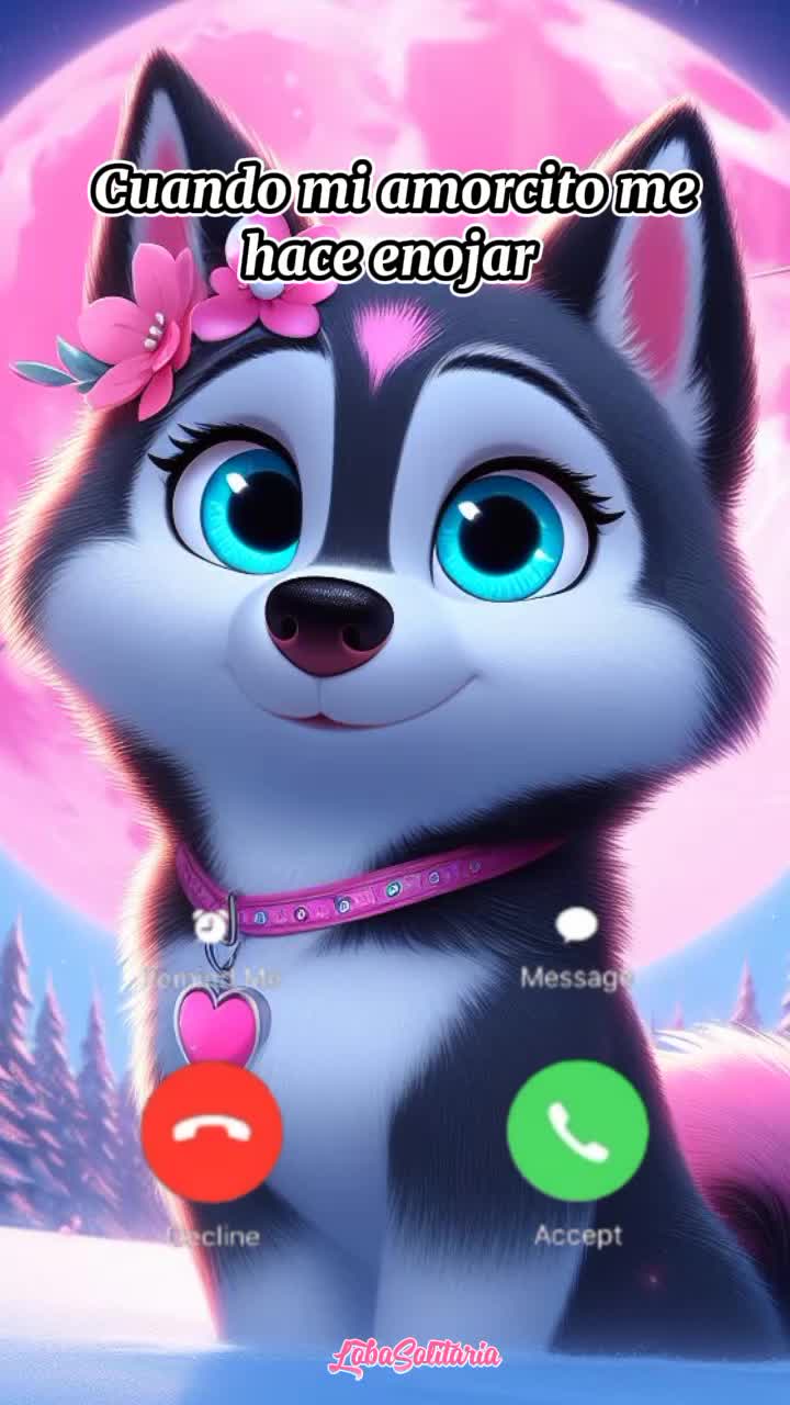 @𝑩𝒂𝒃𝒚𝑾𝒐𝒍𝒇🐺🥀