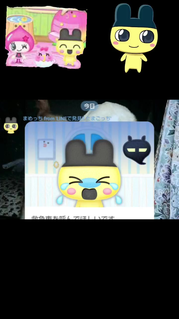 @สุชาดา พงศาวกุล