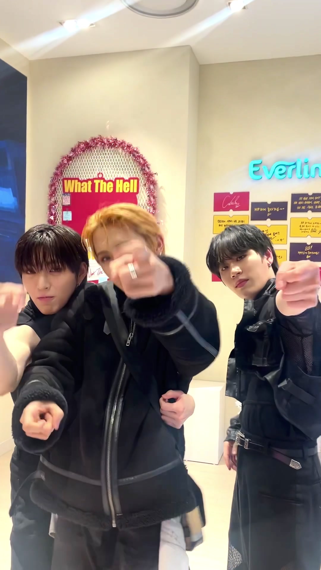 @다크비(DKB)