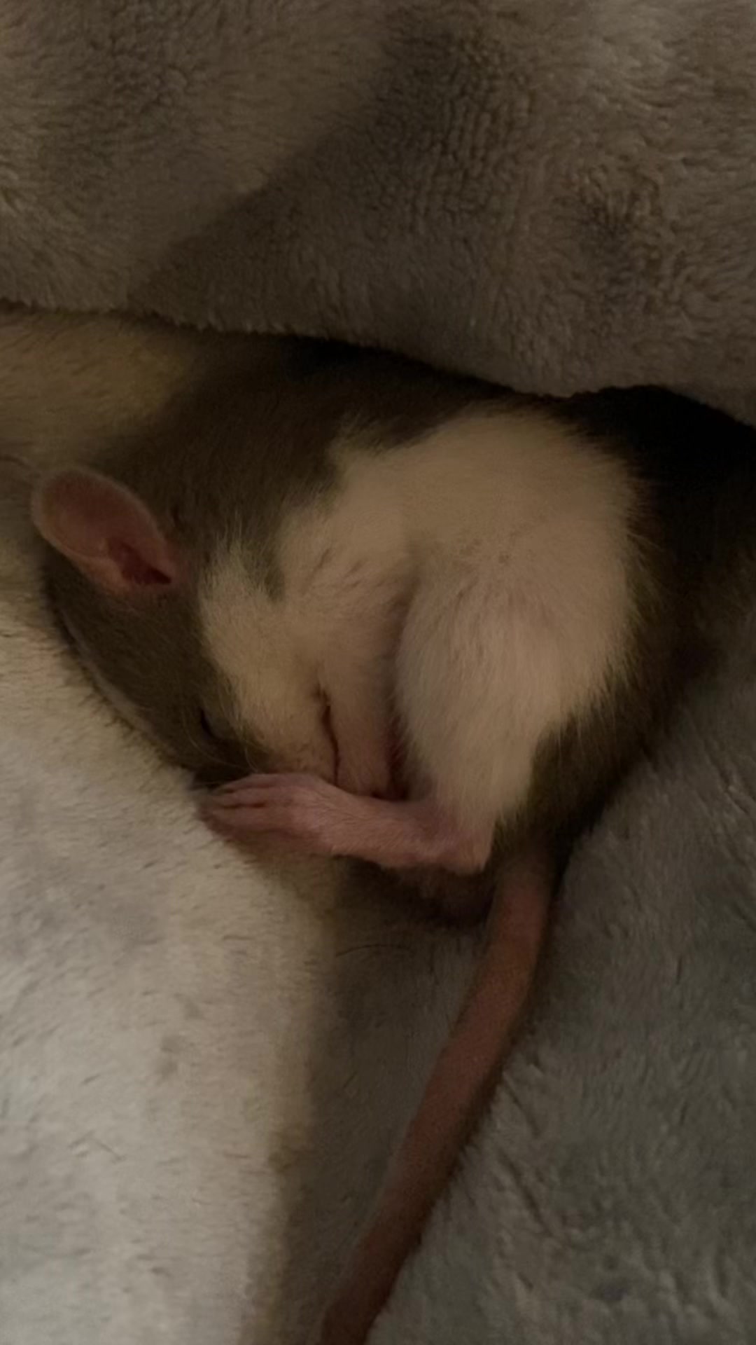 @theoutsideenjoyer