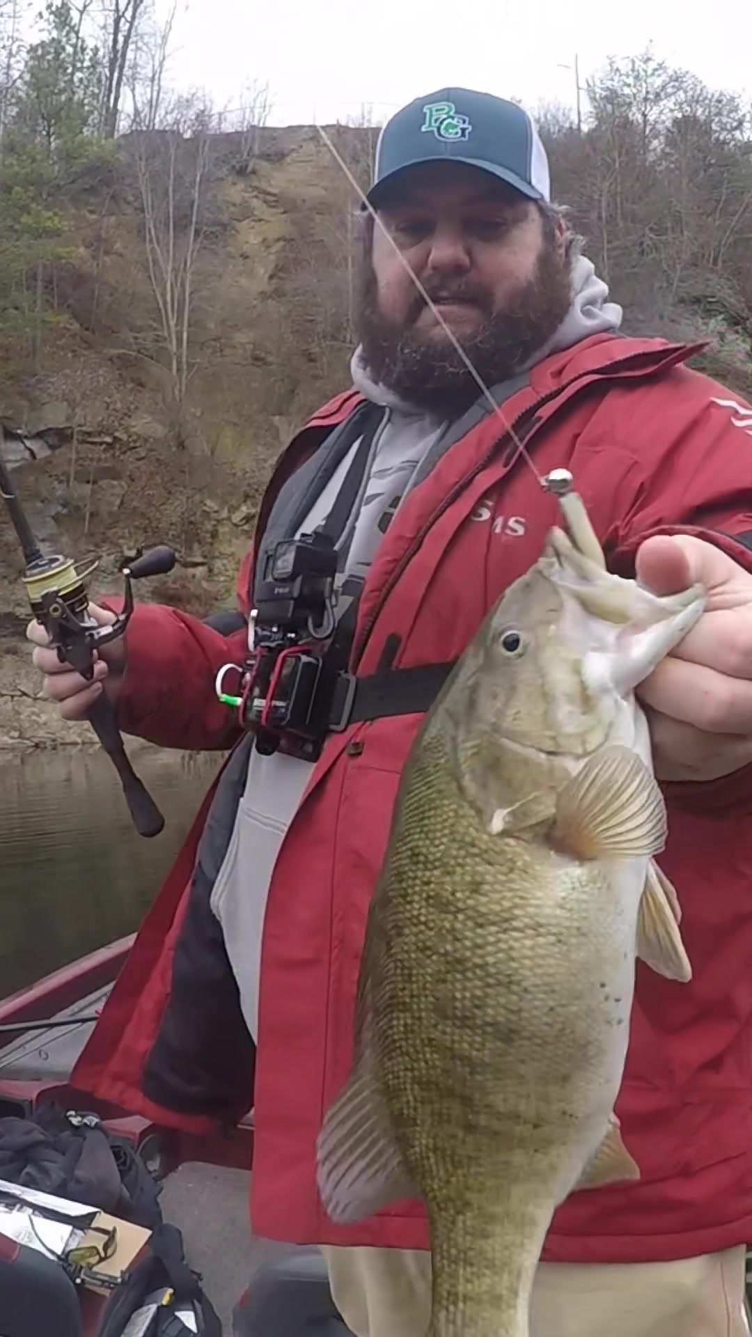 @bassgeek