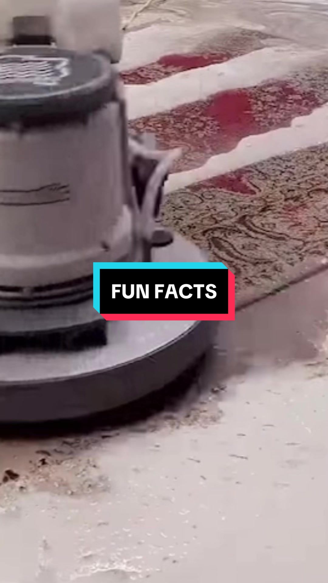 @randomamazingfunfacts