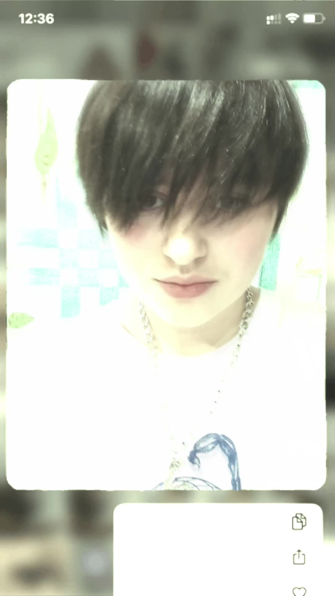 @oazisss